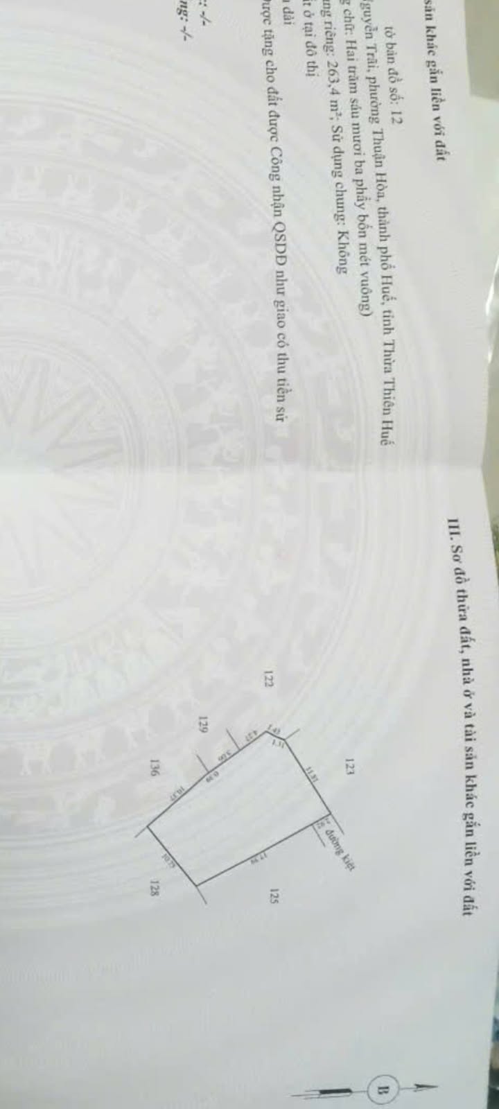 Đất nền đường Nguyễn Trãi, Huế 264m² giá 4.57 tỷ - Cơ hội đầu tư hấp dẫn!