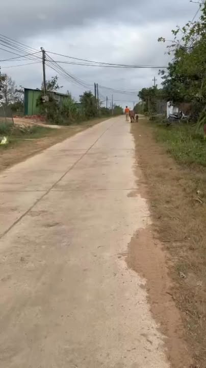 Đất nền thôn Thăng Hợp, Vụ Bổn 330m² giá 500 triệu - Đầu tư sinh lời ngay!