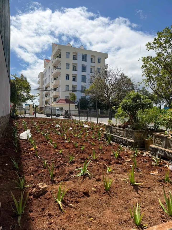 FrontHouse 2 mặt tiền Thủ Khoa Huân 187m² giá 12 tỷ - Kinh doanh đỉnh cao!