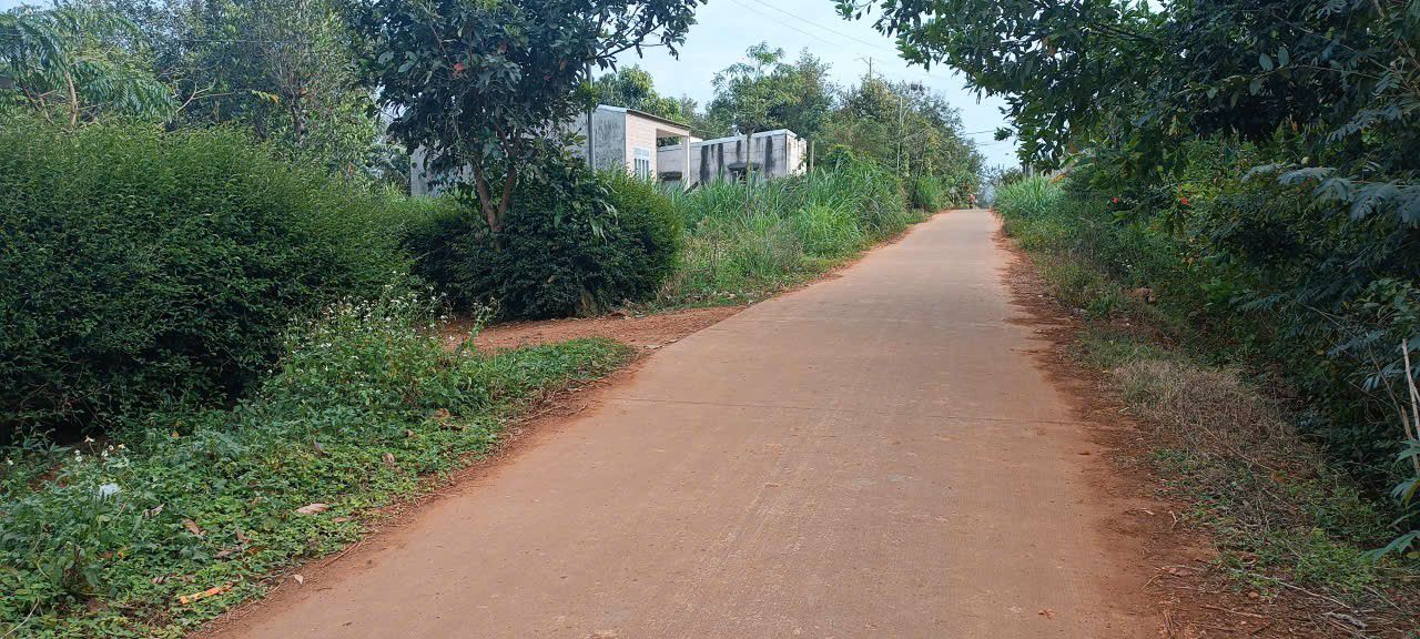 Đất nền chính chủ xã Ea Kmút 440m² giá 5.5 tỷ - Đầu tư sinh lời ngay!