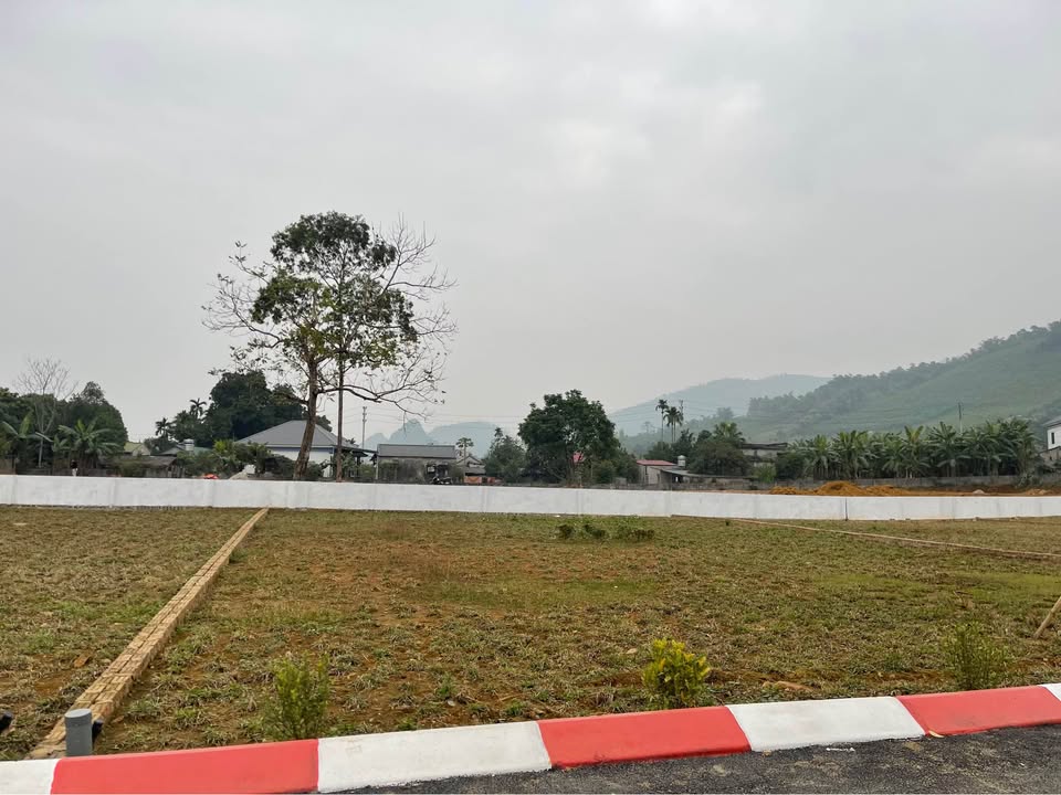 Đất nền Cư Yên Lương Sơn 505m² giá chỉ 2 tỷ - Pháp lý rõ ràng, công chứng ngay!