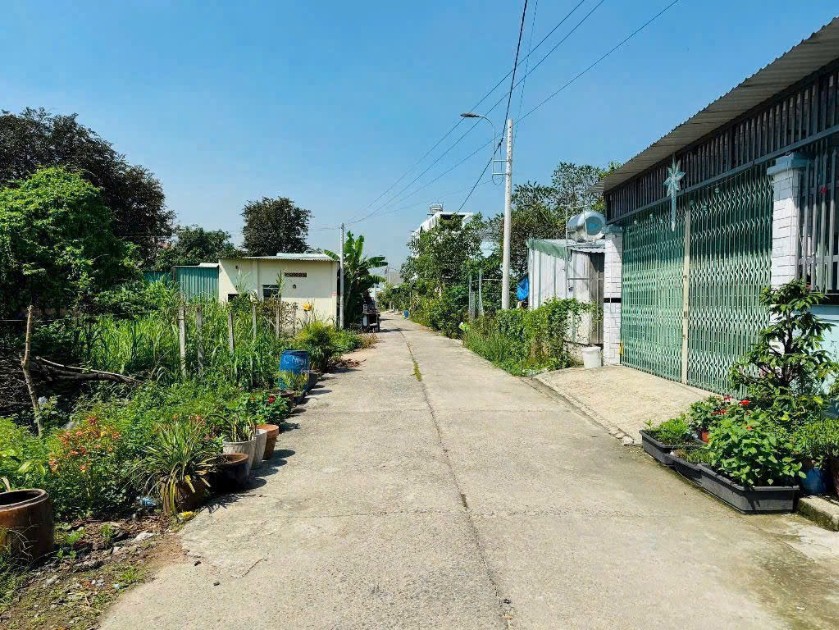 Đất thổ cư 252m² Tân Thông Hội Củ Chi giá 2 tỷ - Đầu tư tiềm năng!