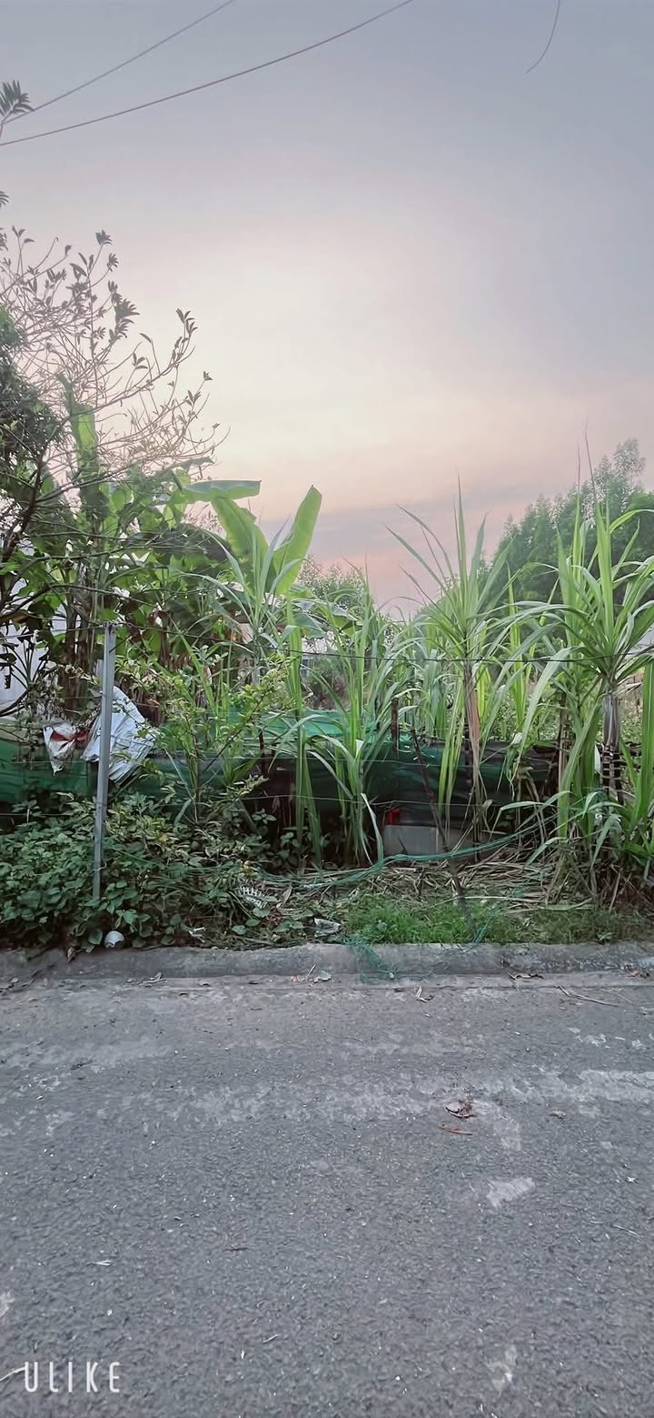 Đất thổ cư Tam Phước Biên Hòa 130m² giá thỏa thuận - Sổ hồng riêng chính chủ