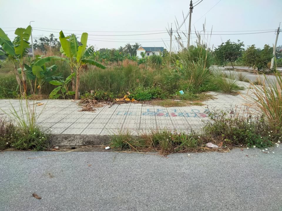 Đất nền tại phường Đông Quang, Thành phố Thanh Hóa 115m² giá chỉ 1.1 tỷ - Tiềm năng đầu tư cao!