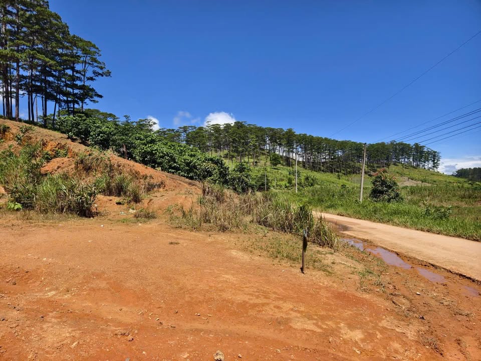 Đất thổ cư Đam Rông 76m² giá 3,5 tỷ - Cơ hội đầu tư lý tưởng!