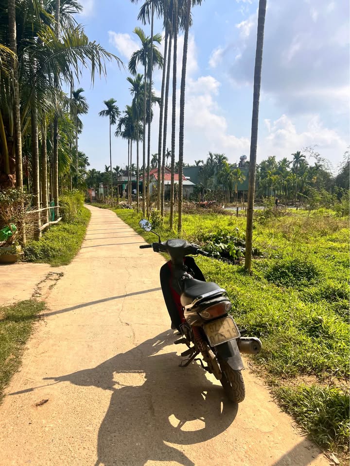 Đất nền Duy Phước 115m² giá chỉ 599 triệu - Sổ hồng chính chủ sẵn sàng giao dịch!