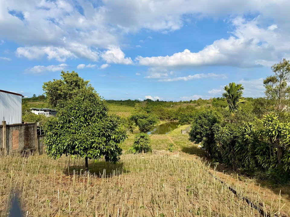 Đất thổ cư 5000m² tại Bảo Lộc - Đầu tư tuyệt vời chỉ 14 tỷ