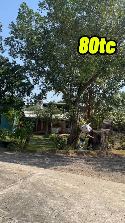 Đất làm nhà vườn Xuân Sơn 1005m² giá 1.38 tỷ - Đầu tư sinh lời hấp dẫn!