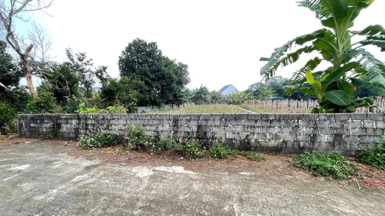 Đất thổ cư 300m² tại Yên Thái Đông, Quốc Oai, 496m² - Đầu tư lý tưởng!