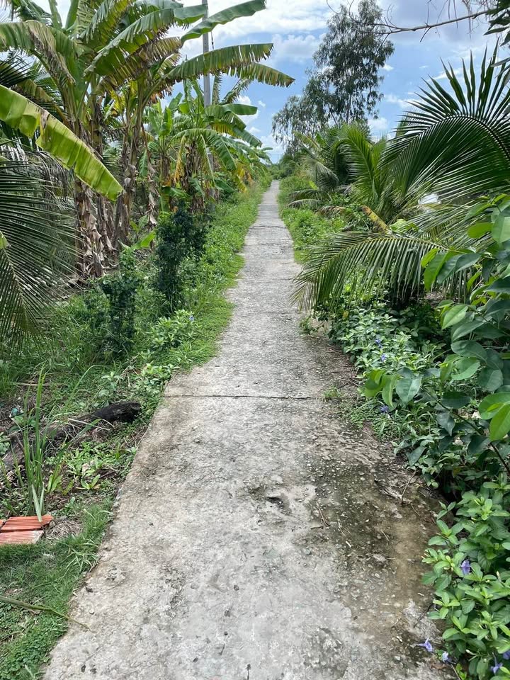 Đất nuôi trồng thủy sản 23.695m² xã Phong Thạnh Tây, Cà Mau giá 2 tỷ - Cơ hội đầu tư hấp dẫn!