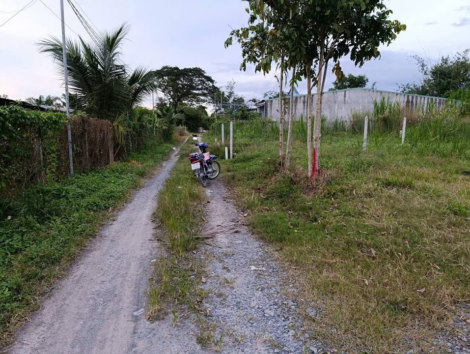 Đất Kp An Thới, Phường An Tịnh, Trảng Bàng 200m² giá 700 triệu - Đầu tư sinh lời ngay!