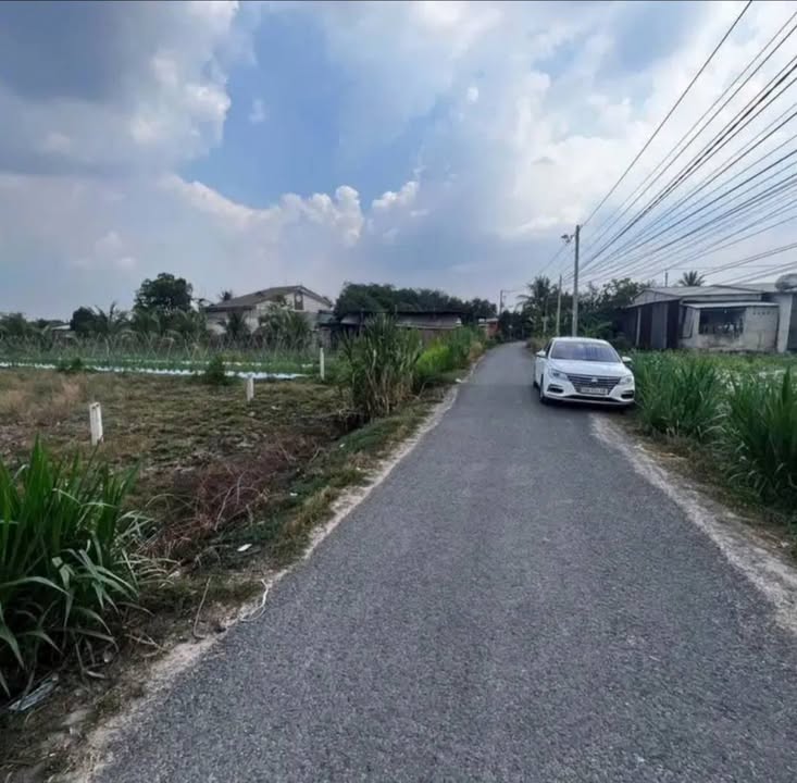 Đất thổ cư mặt tiền đường nhựa Trâm Vàng Gò Dầu 1376m² - Cơ hội đầu tư hấp dẫn!