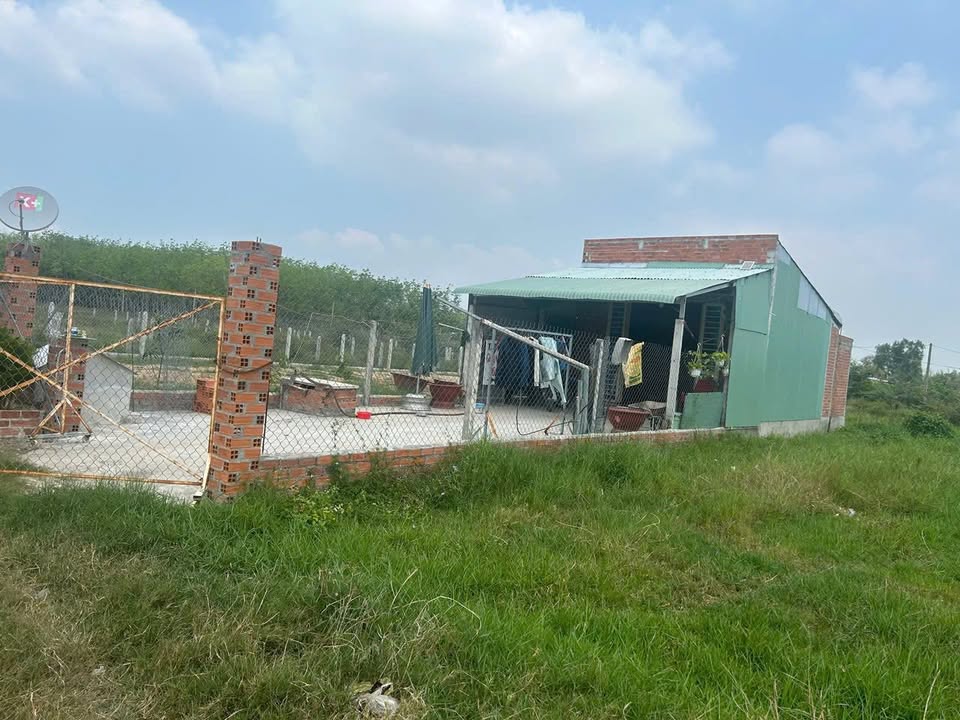 Đất thổ cư Hiệp Thạnh, Gò Dầu, 90m² - Giá tốt chỉ 390 triệu VND