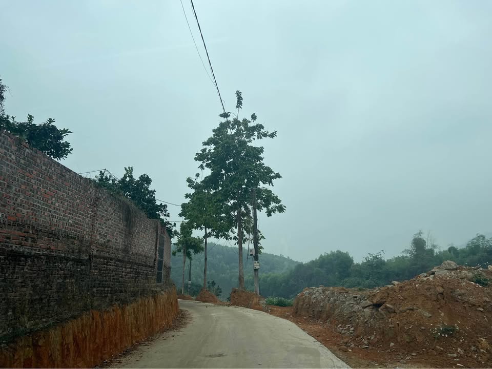 Đất thổ cư thôn 2 Lưỡng Vượng 300m² giá chỉ 1.x tỷ - Mặt tiền rộng ô tô vào tận nơi!