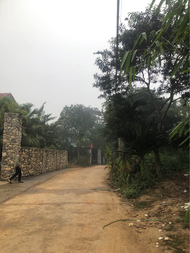 Đất nền chính chủ Tuyên Quang 180m² giá 1 tỷ - Đường ô tô đỗ cửa!