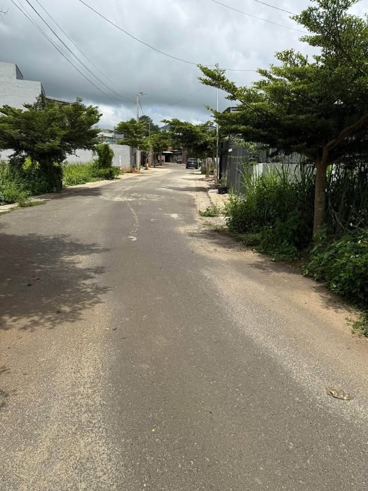 Đất nền Thị trấn Liên Nghĩa 100m² giá 1.85 tỷ - Vị trí đắc địa sẵn sàng đầu tư!