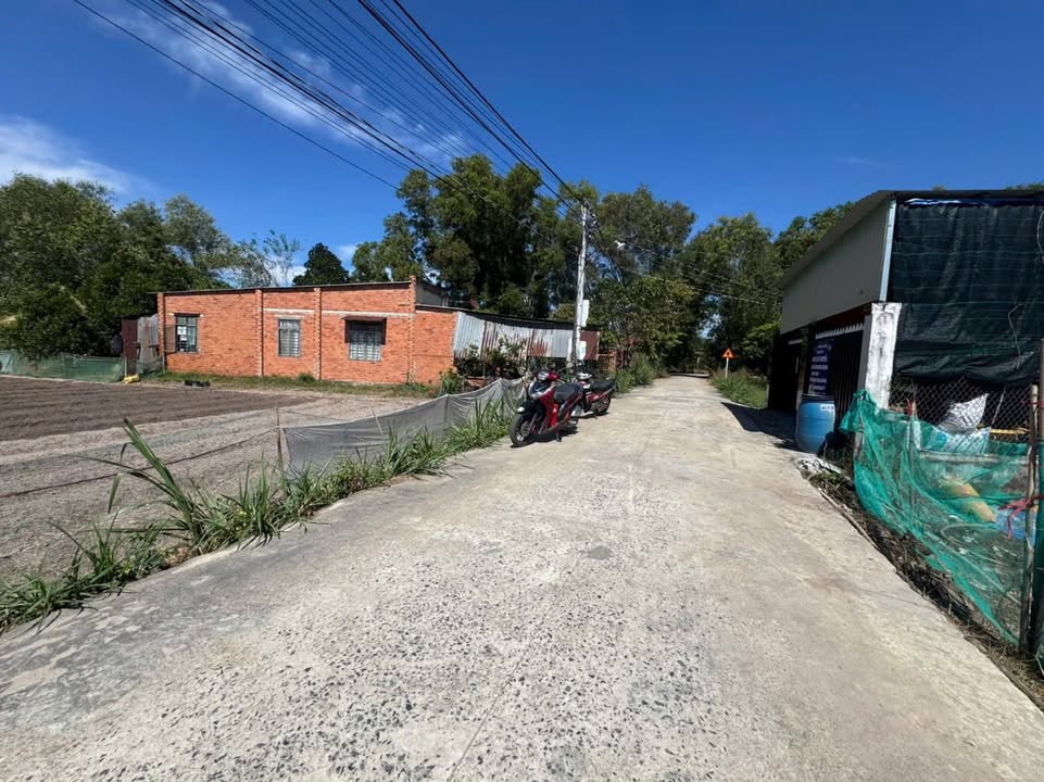 Đất nền 350m² tại Khu Phố Xóm Mới, Gò Dầu chỉ 950 triệu - Tiềm năng sinh lời cao!