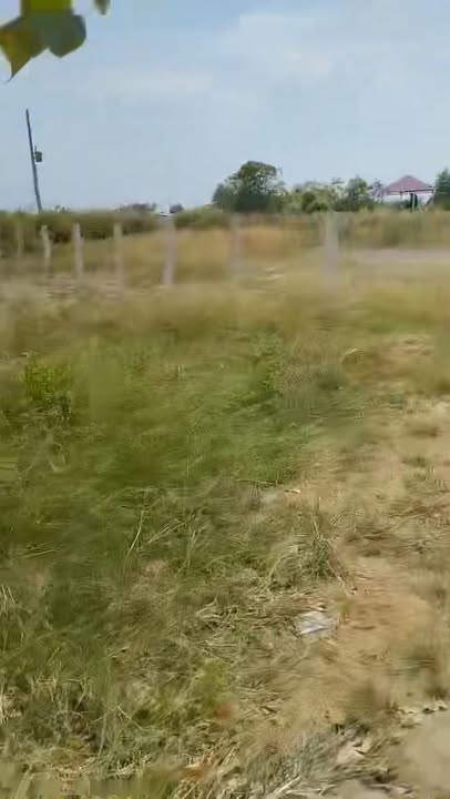 Đất mặt tiền xã Thừa Đức, huyện Bình Đại, 530m² - Giá thỏa thuận hấp dẫn!