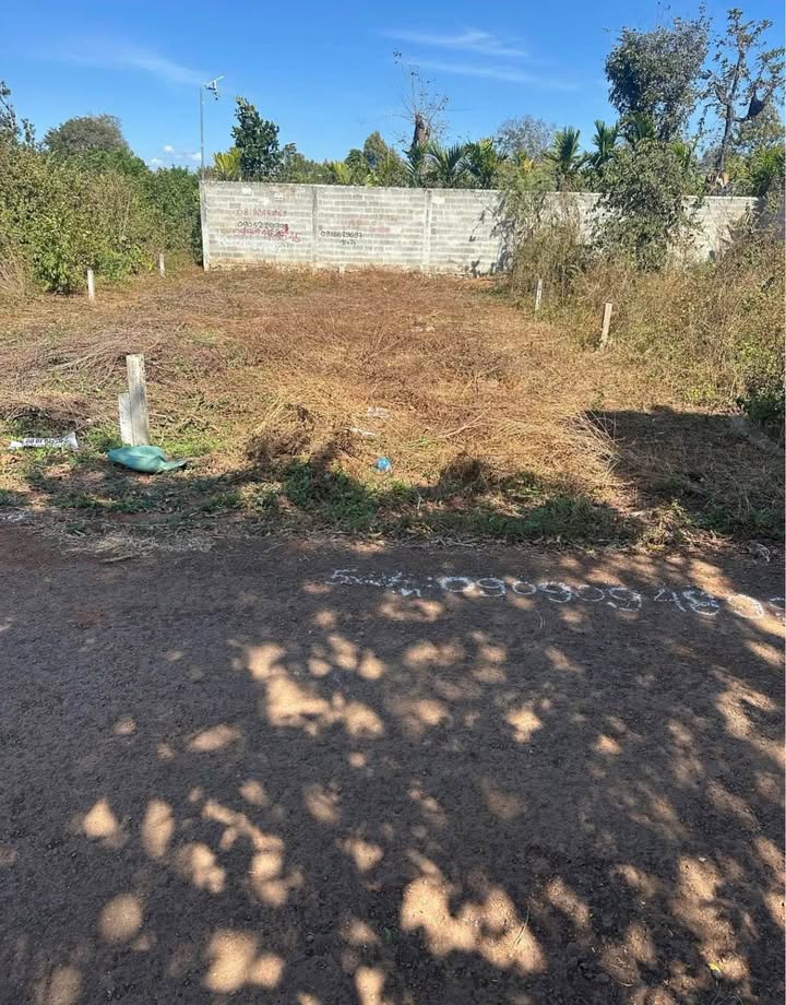 Đất thổ cư mặt tiền đường N7 Buôn Ju 120m² giá 1.27 tỷ - Cơ hội đầu tư hấp dẫn!