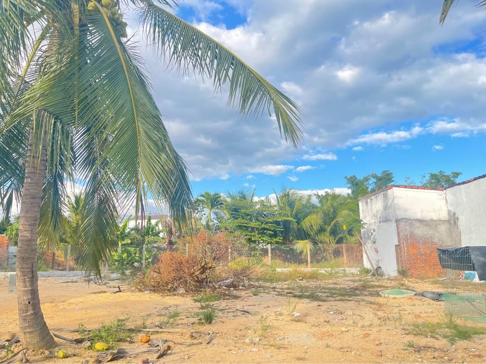 Đất nền Khu kinh tế Bắc Vân Phong 1037m² giá 7.258 tỷ - Tiềm năng đầu tư lớn!