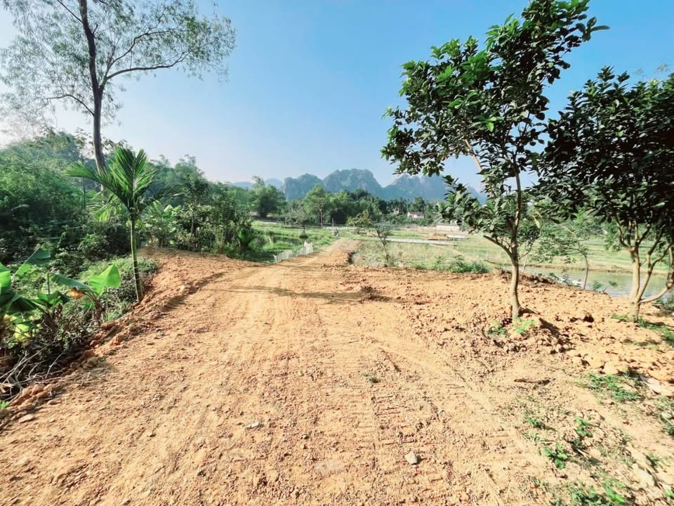 Đất Farm Liên Sơn, Lương Sơn, Hòa Bình 1700m² chỉ từ 1 triệu/m² - Cơ hội đầu tư tuyệt vời!