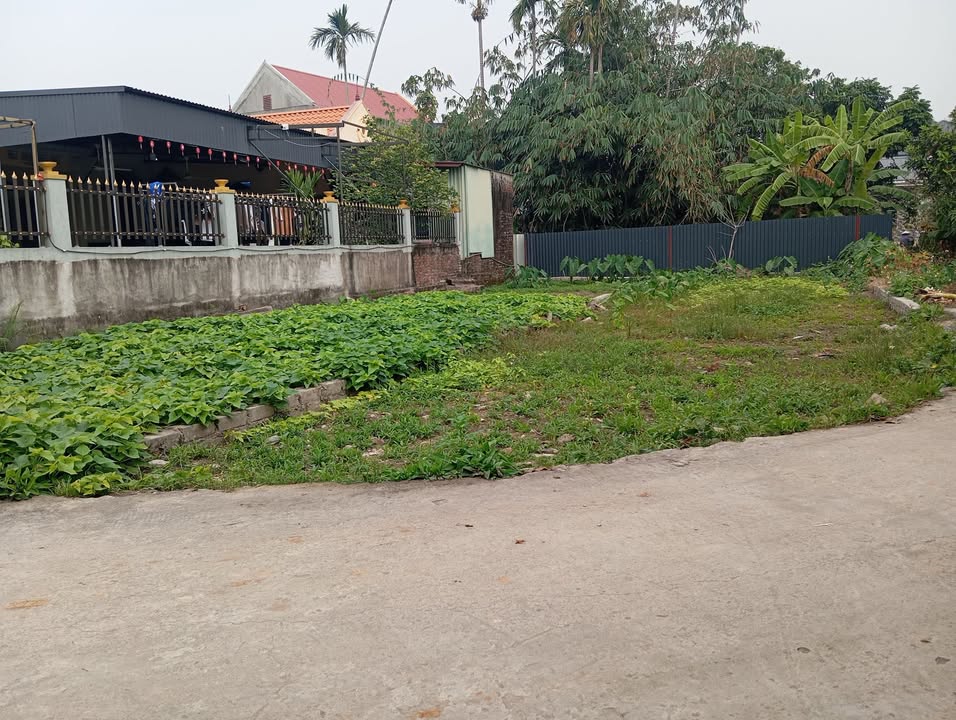 Đất nền chính chủ tại Thái Sơn, An Lão 94m² giá 800 triệu - Đầu tư sinh lời ngay!