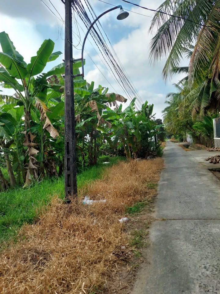 Đất nền Phú Tân Bến Tre 493m² giá 3.105 tỷ - Đầu tư sinh lời hiệu quả!