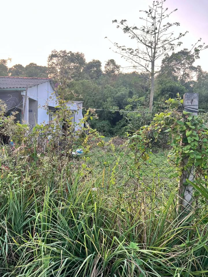 Đất mặt tiền xã An Ngãi Trung 360m² giá 300 triệu - Cơ hội đầu tư tuyệt vời!