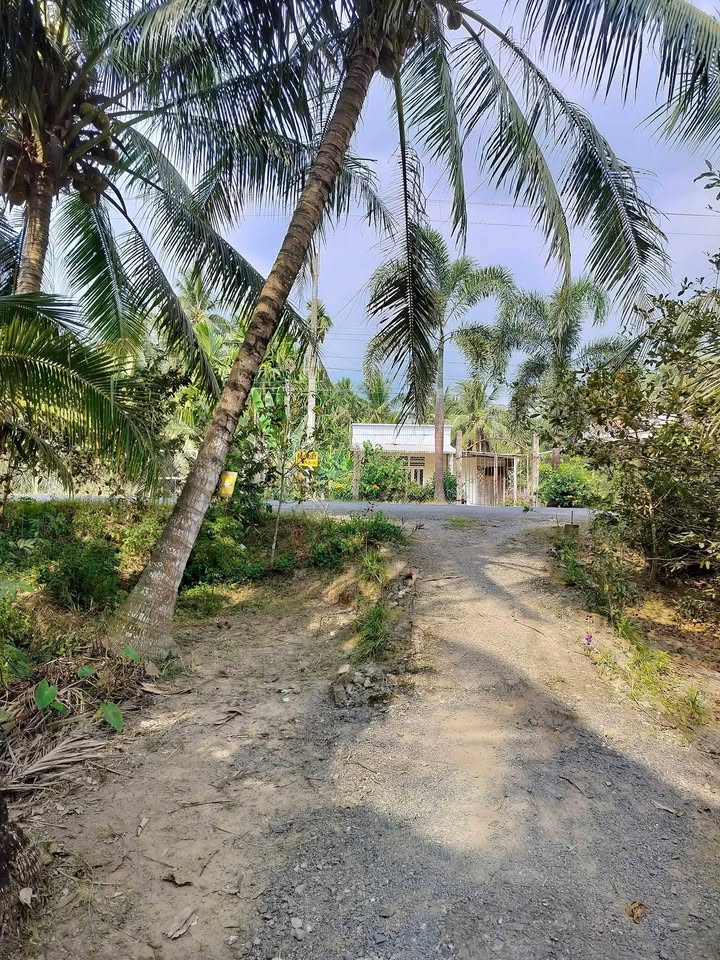 Đất thổ cư mặt tiền Hương lộ 39, 325m² giá 900 triệu - Cơ hội đầu tư tuyệt vời!