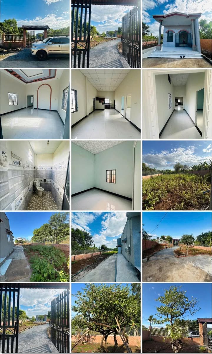 Căn nhà vườn Ấp 1, Bình Chánh 1200m² giá 2.5 tỷ - Không thể bỏ lỡ!