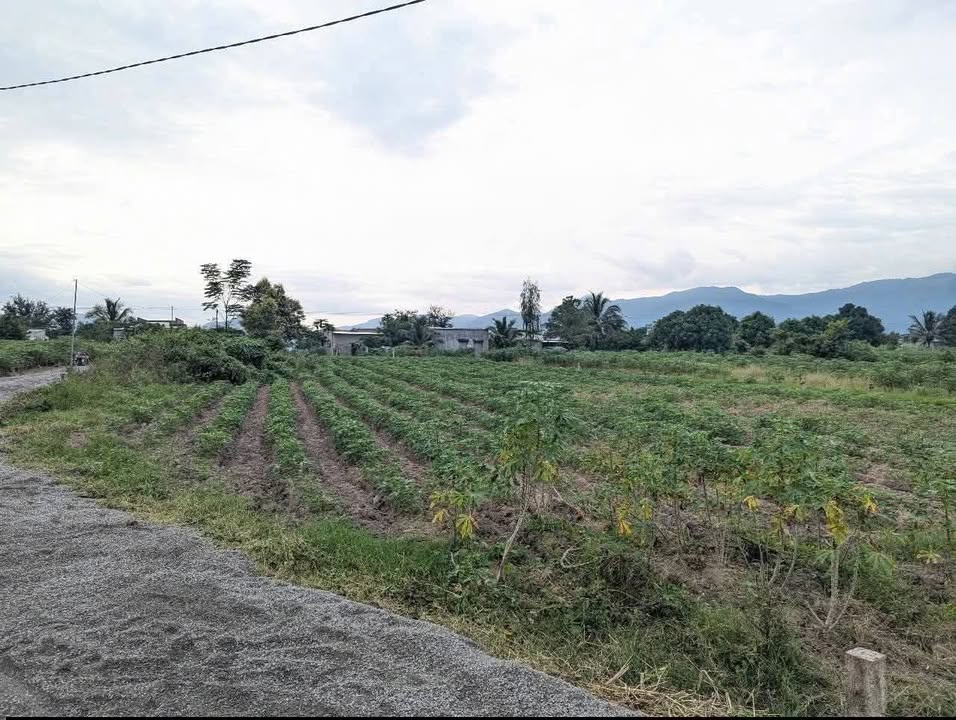 Đất thổ cư xã Ninh Tây 174m² giá chỉ 100 triệu - Cơ hội đầu tư hấp dẫn!