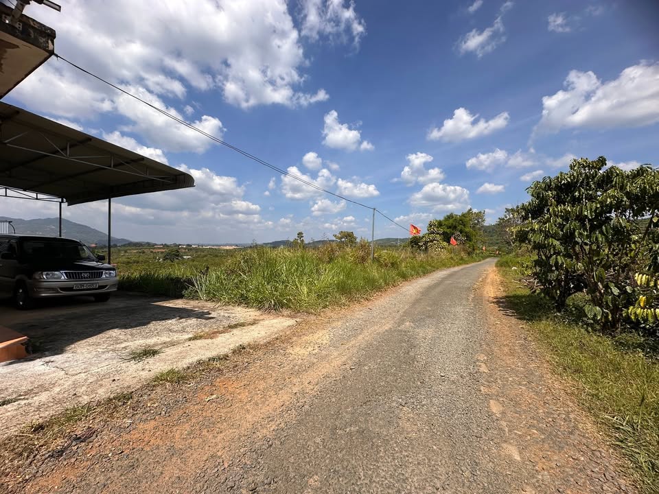 Đất nền nghỉ dưỡng Tân Lạc Bảo Lâm 6.066m² giá 8.2 tỷ - Đầu tư sinh lời ngay!