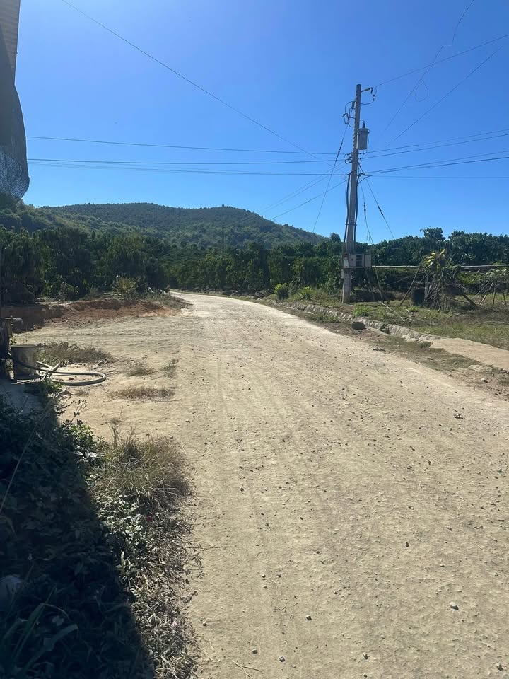 Đất thổ cư 480m² tại thôn Tân Tiến, Lâm Hà - Giá chỉ 850 triệu!