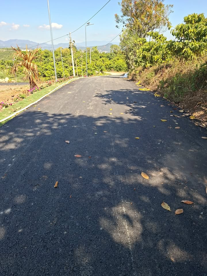 Đất nền 280m² xã Tân Hà, huyện Lâm Hà giá chỉ 500 triệu - Cơ hội đầu tư tuyệt vời!