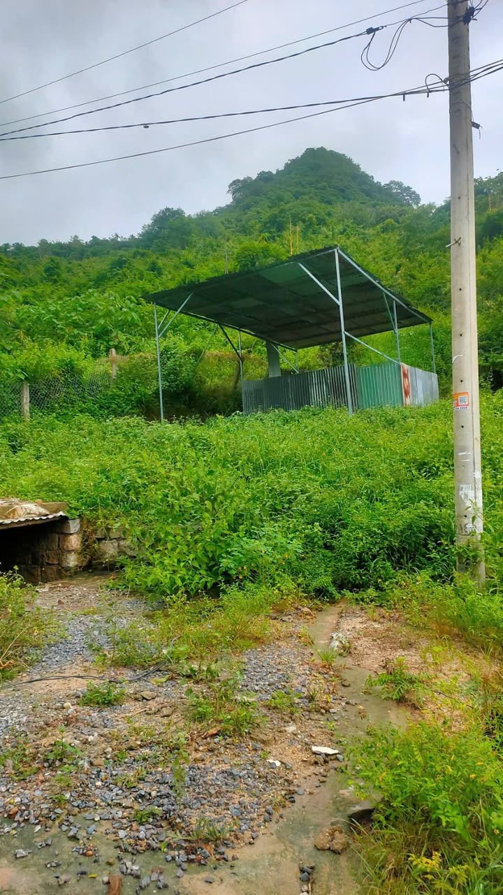 Đất nền tại chung cư Bình Phú, Nha Trang 200m² giá 999 triệu - Cơ hội đầu tư hấp dẫn!