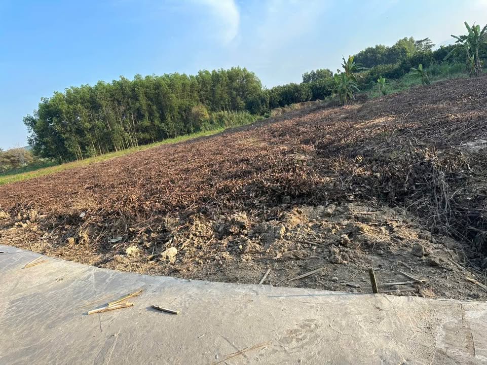 Đất nền Diên Xuân 268m² giá chỉ 290 triệu - Sổ đỏ chính chủ!