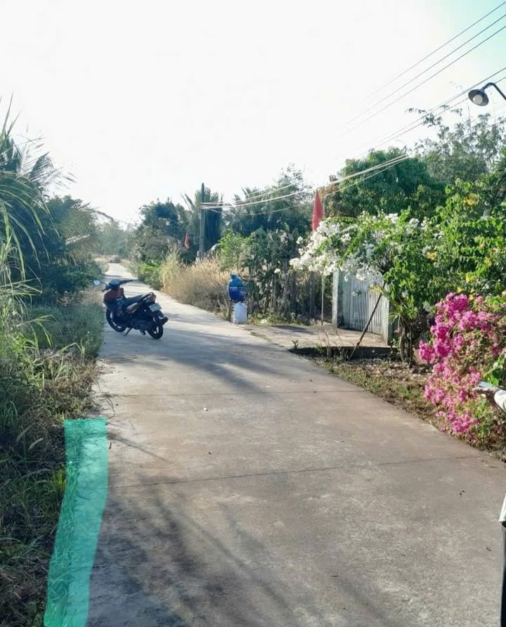 Đất nền Định Hiệp Dầu Tiếng 205m² giá 500 triệu - Sổ hồng chính chủ