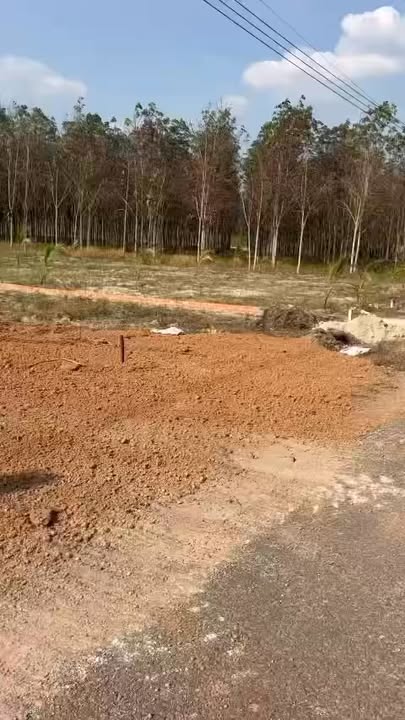 Đất vườn 2500m² xã Phước Sang, huyện Phú Giáo giá 1.6 tỷ - Cơ hội đầu tư lý tưởng!