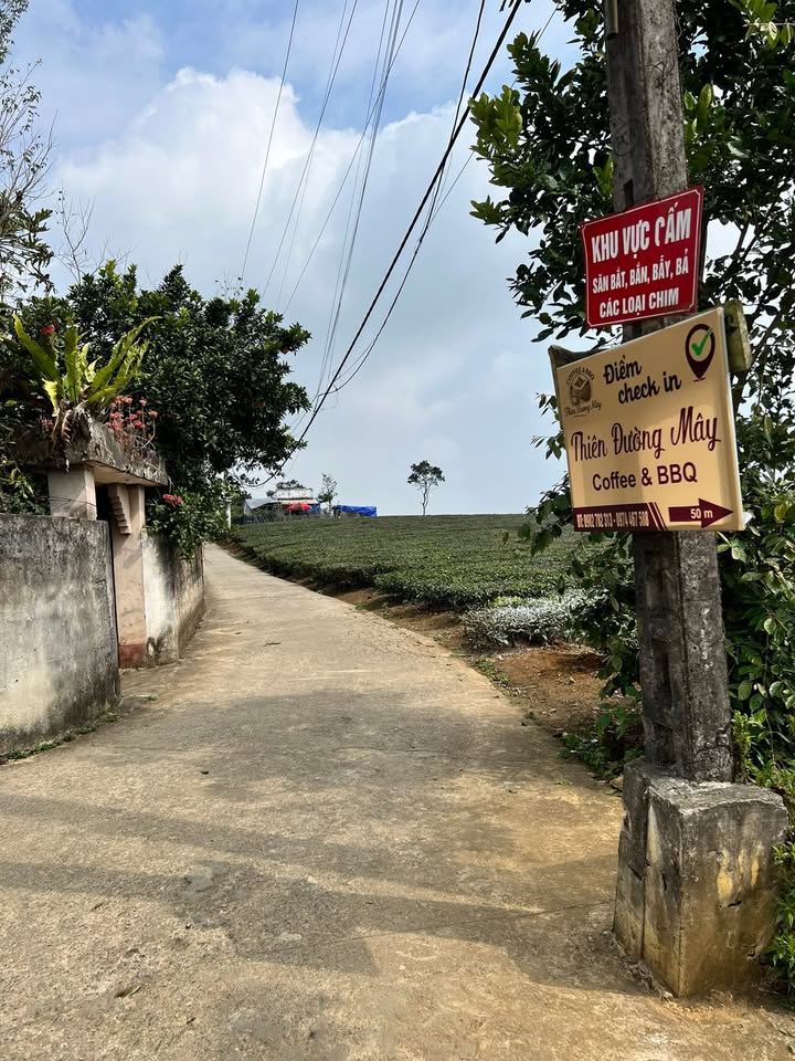 Đất thổ cư Mộc Sơn, Mộc Châu 200m² giá 2 tỷ - Thế đất cao thoáng, vị trí đắc địa!