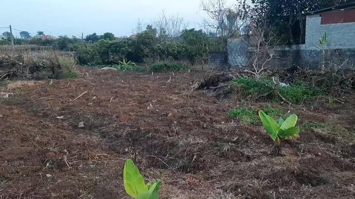 Mảnh vườn đẹp tại TDP Sẻ Cũ, Bắc Ninh 1.720m² giá thỏa thuận - Cơ hội đầu tư tuyệt vời!