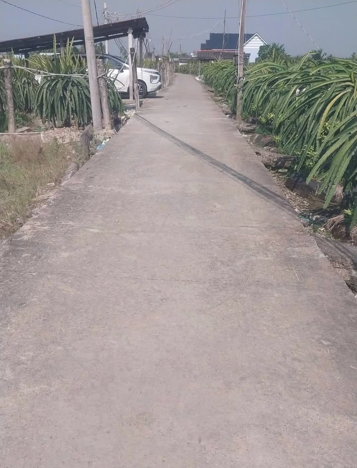 Đất thổ cư 130m² tại Châu Thành, Long An - Giá chỉ 380 triệu, cơ hội đầu tư sinh lời!