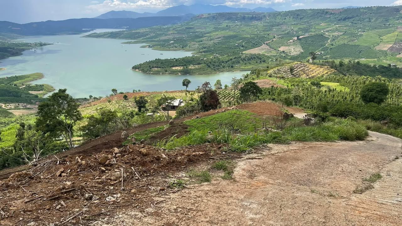 Bán gấp vườn cà phê 3024m² tại Tân Nghĩa, Di Linh - Sổ đỏ chính chủ!