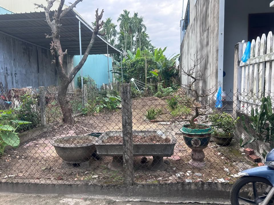 Lô đất Nguyễn Trãi 146m² giá 1 tỷ - Đầu tư sinh lời tuyệt vời!