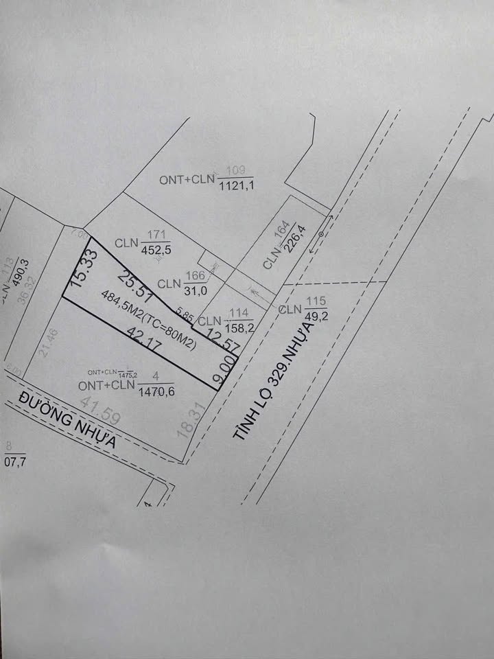 Đất mặt tiền Tỉnh lộ 329, Huyện Xuyên Mộc, 484.6m² - Cơ hội kinh doanh hấp dẫn!