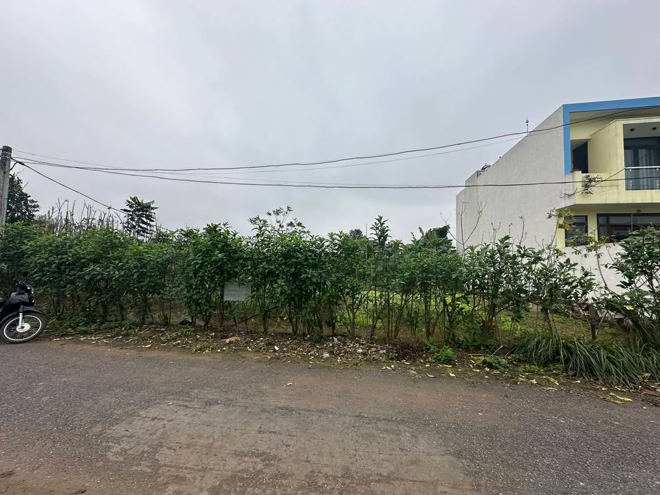 Đất nền Vũ Ninh, Kiến Xương, 100m² giá thỏa thuận - Cơ hội đầu tư hấp dẫn!