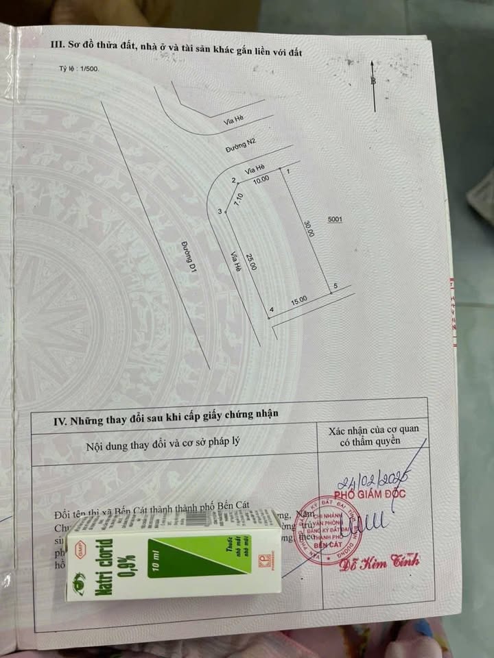 Đất nền 2 mặt tiền đường N2, Bến Cát, 450m² - Giá đầu tư hấp dẫn!