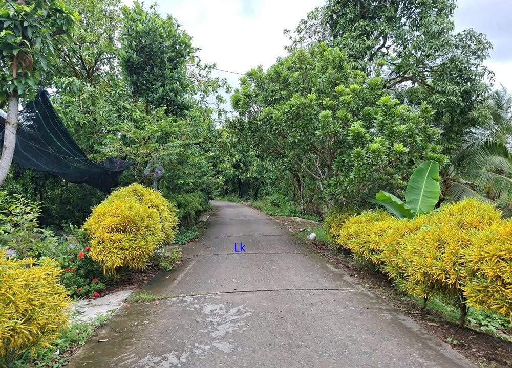 Đất nền Hòa An, TP. Cao Lãnh 140m² giá 600 triệu - Cơ hội đầu tư tuyệt vời!