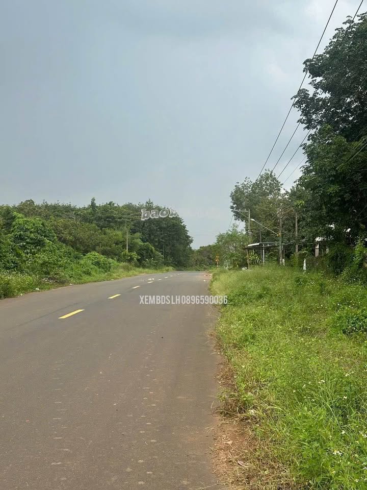 Bán rẫy Ấp 5, Đồng Tiến, Đồng Phú 5,6 ha - Đầu tư sinh lời hấp dẫn!