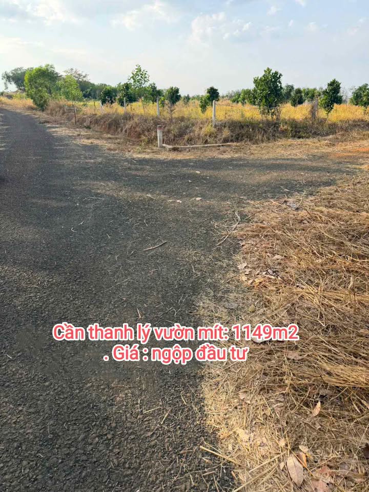 Đất nền lô góc 2 mặt tiền tại Tân Uyên 1142m² giá 900 triệu - Cơ hội đầu tư hấp dẫn!