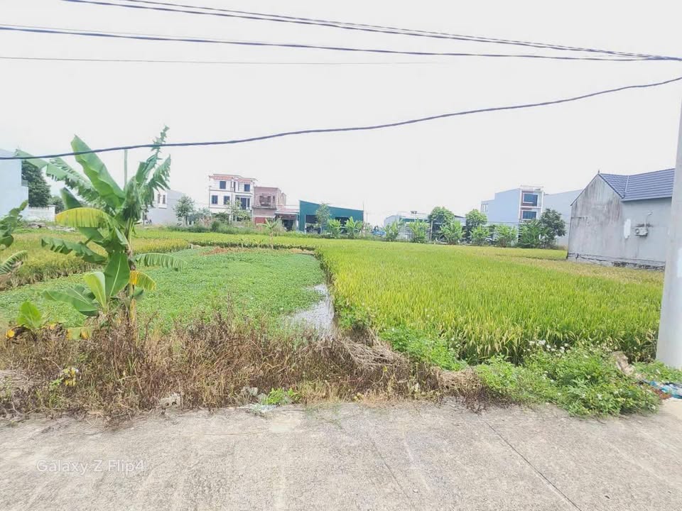 Đất nền 125m² xã Đông Yên - Giá chỉ từ 1 tỷ - Nằm cạnh khu công nghiệp!